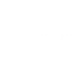 dolce & Gabbana (1)